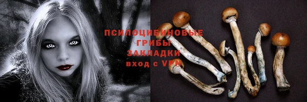 ECSTASY Баксан