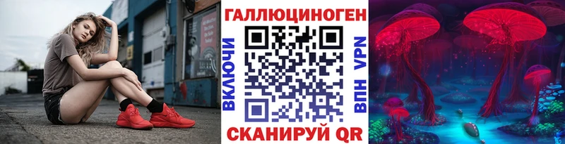 купить наркотик  Мамадыш  Псилоцибиновые грибы Psilocybine cubensis 